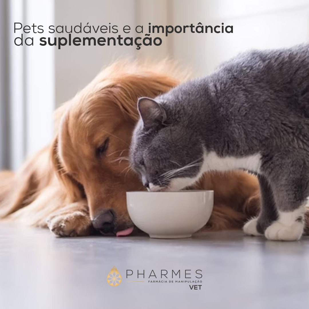 Sa&uacute;de animal e suplementa&ccedil;&atilde;o