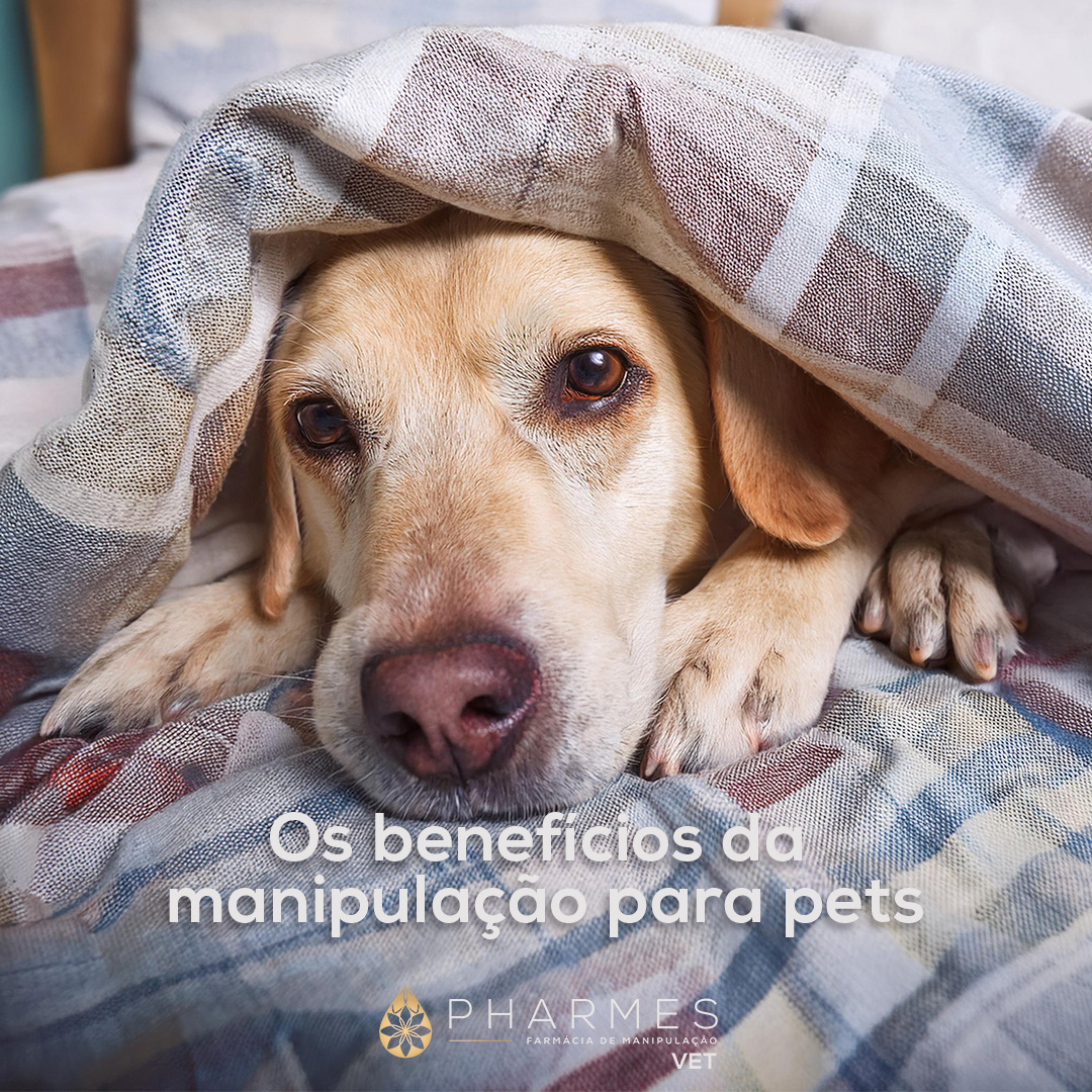 Vantagens da manipula&ccedil;&atilde;o para pets