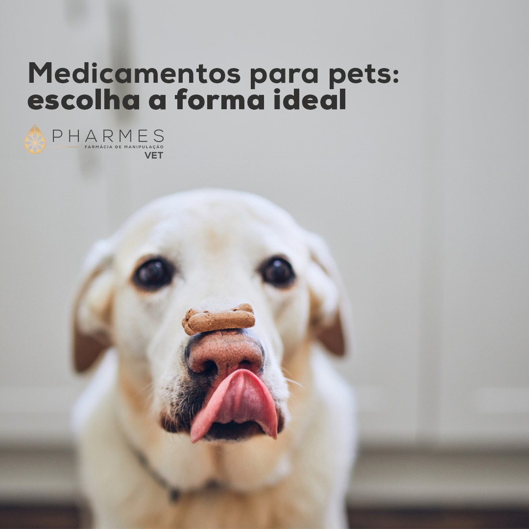 Formas farmac&ecirc;uticas na veterin&aacute;ria