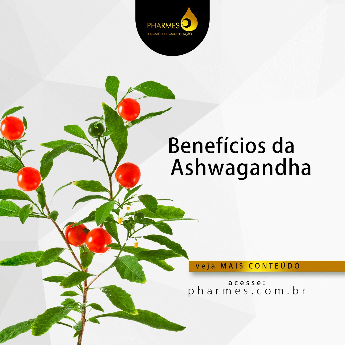 ashwagandha-beneficios 