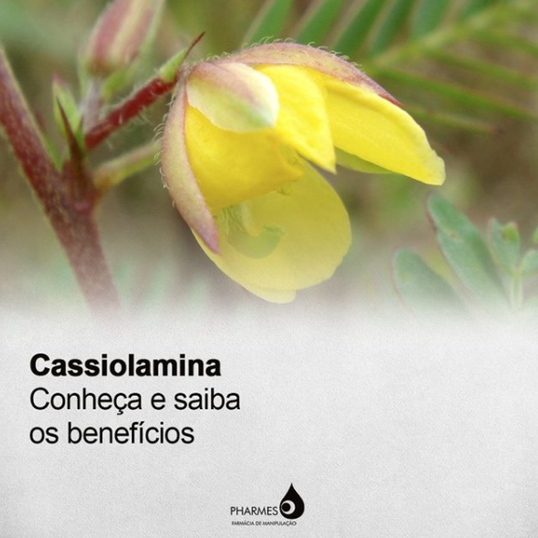 cassiolamina-beneficios