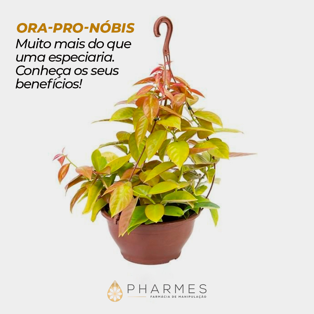 ora-pro-nobis