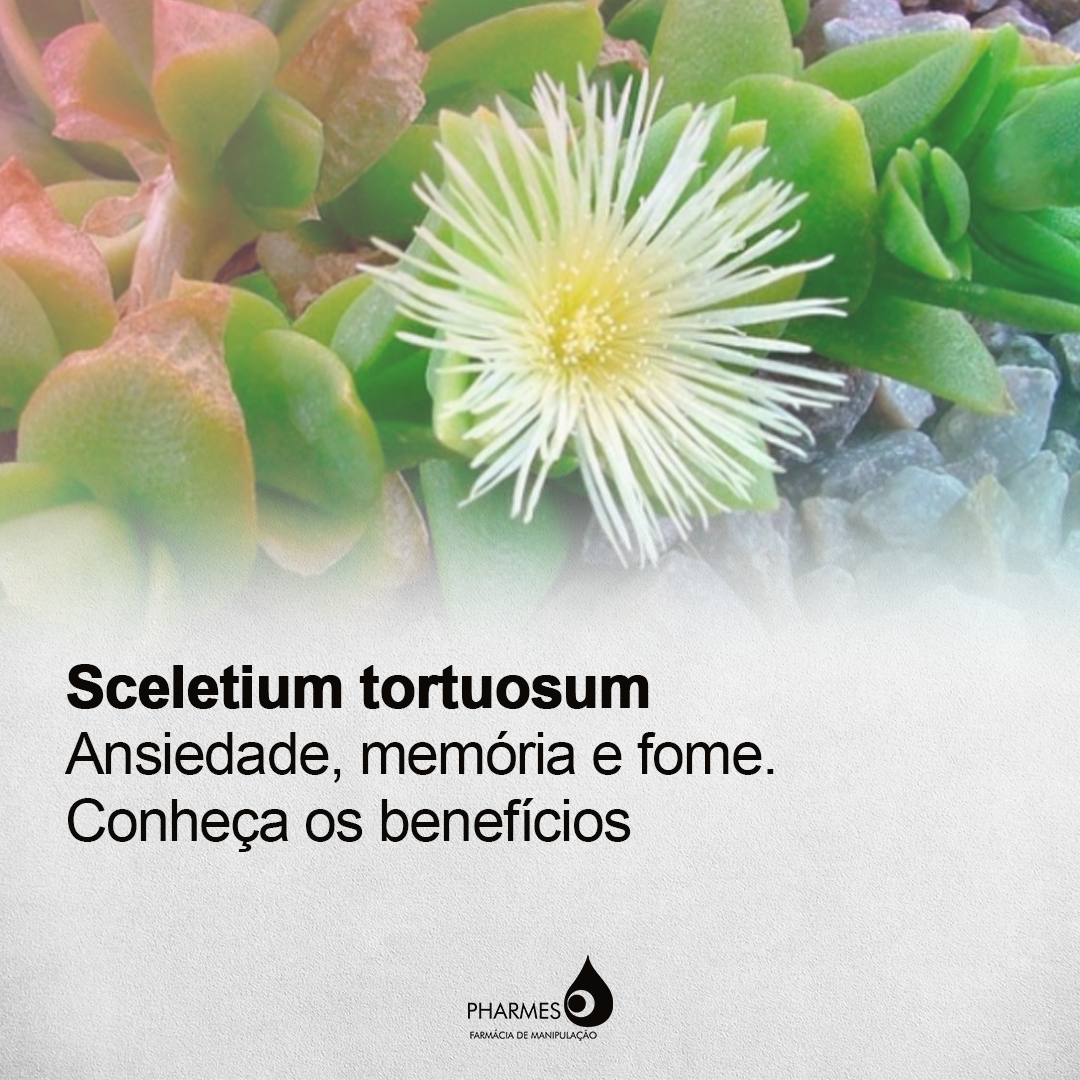 Sceletium tortuosum: ansiedade, estresse e depress&atilde;o